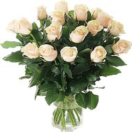 17 Cream Roses