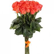 19 orange roses