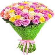 55 multi-colored roses