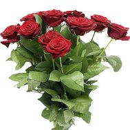 15 red roses