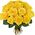 15 yellow roses