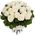 31 white rose