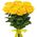 11 yellow roses