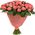 51 Rose Miss Piggy