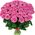 51 pink roses