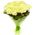 21 white rose