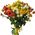 Bouquet of bush roses