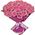 27 pink roses