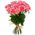 11 pink roses