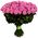 Chic pink roses