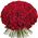 101 Dutch roses