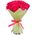 11 Dutch pink roses