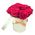 11 red roses in a box