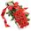 21 roses in a long box