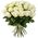 White roses import
