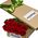 Red roses in a long box