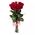 A small bouquet of imported roses