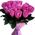 Pink roses bouquet