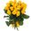 Yellow Dutch roses