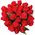 25 imported red roses - view 1