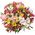 Bouquet of 25 alstromeries