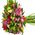 Bouquet of different color alstroemerias