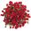 Bouquet of red spray roses