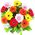 Gerberas to buy
