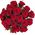 Imported roses with large buds - view 1