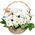 Composition in a basket of chrysanthemums