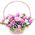 Flower basket for the newlyweds