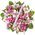 Basket of flowers for anniversary