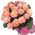 19 roses miss piggy