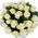 Happy birthday white roses 25 roses- wiev 1