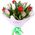 11 tulips