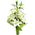 Bouquet 1 lily