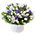 Bouquet of white and blue flowers