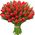 Bouquet of red tulips