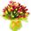 Bouquet of multicolored tulips