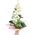 Bouquet from a branch of a white orchid