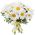 Bouquet of chamomiles