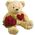 Bouquet of roses and a bear