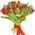 Bouquet with tulips