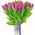 Purple tulips