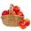 Basket of apples