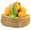Basket of tangerines