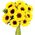 Buy Sunflowers