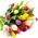 Tulips in a bouquet