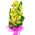 Green orchid branch