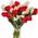 Live tulips
